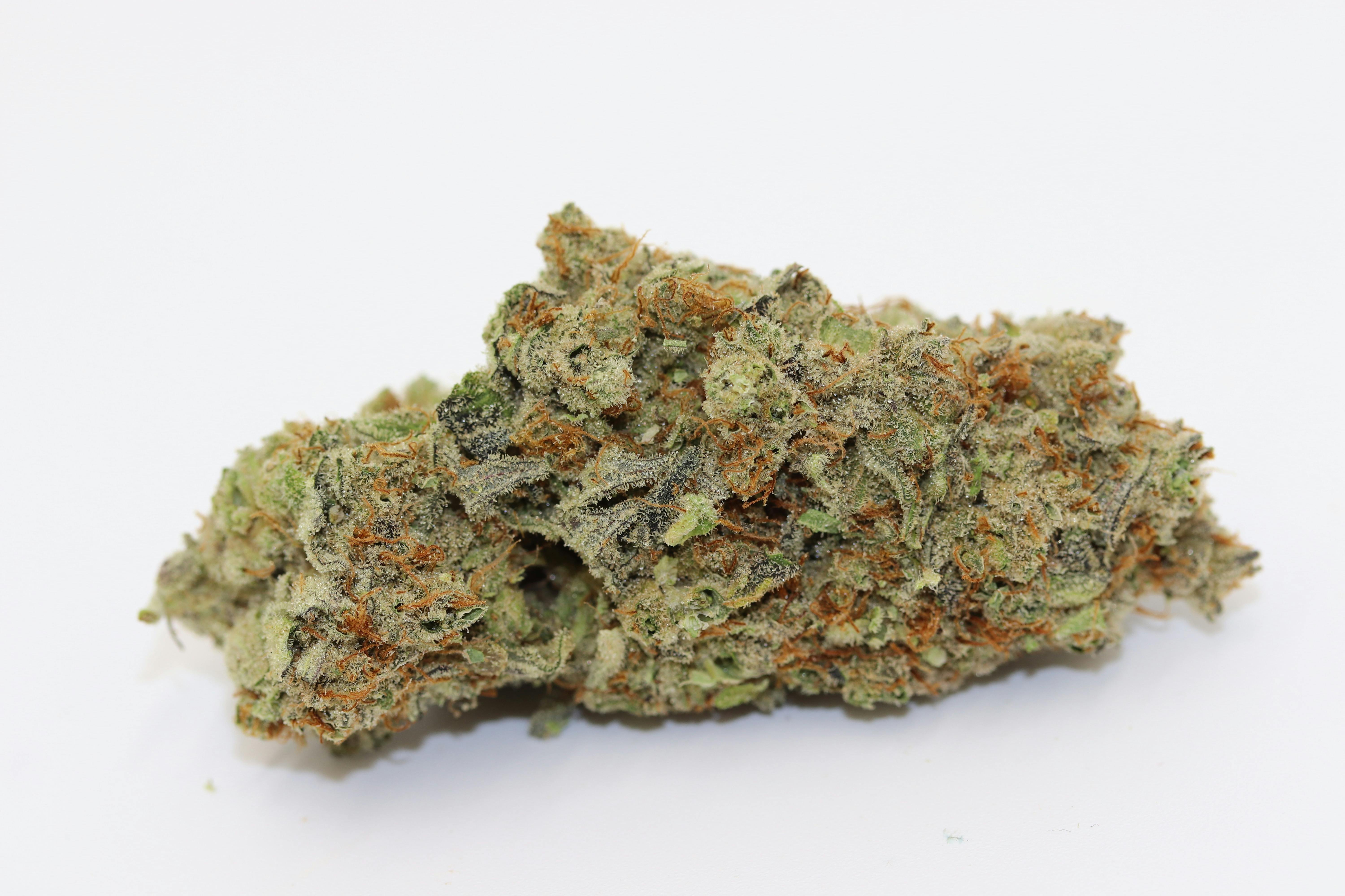 Elevation 207 - Sugar Black Rose - 1