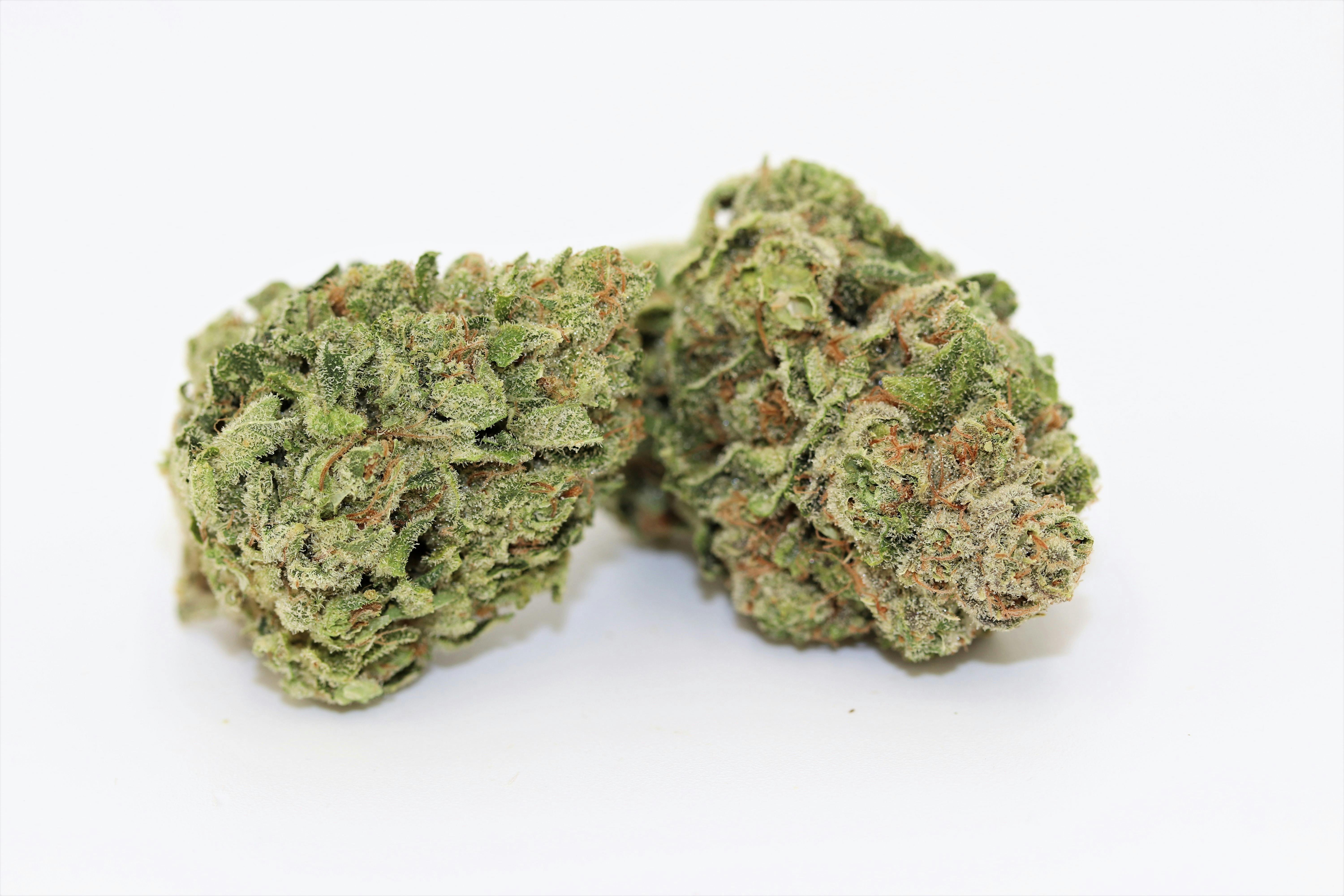 Elevation 207 - Love Triangle - 1