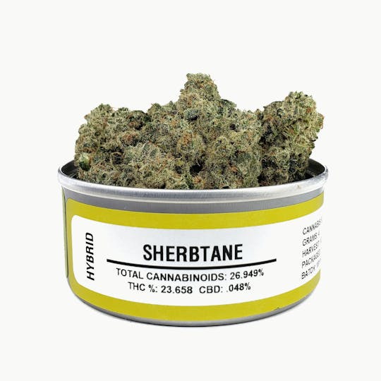 Space Monkey Meds - Sherbtane - 1