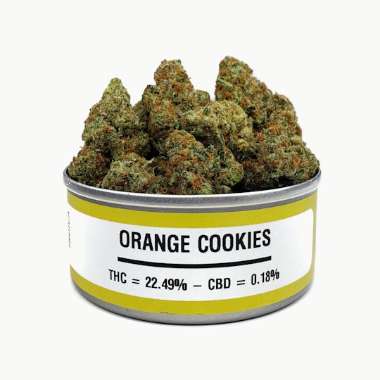 Space Monkey Meds - Orange Cookies - 1