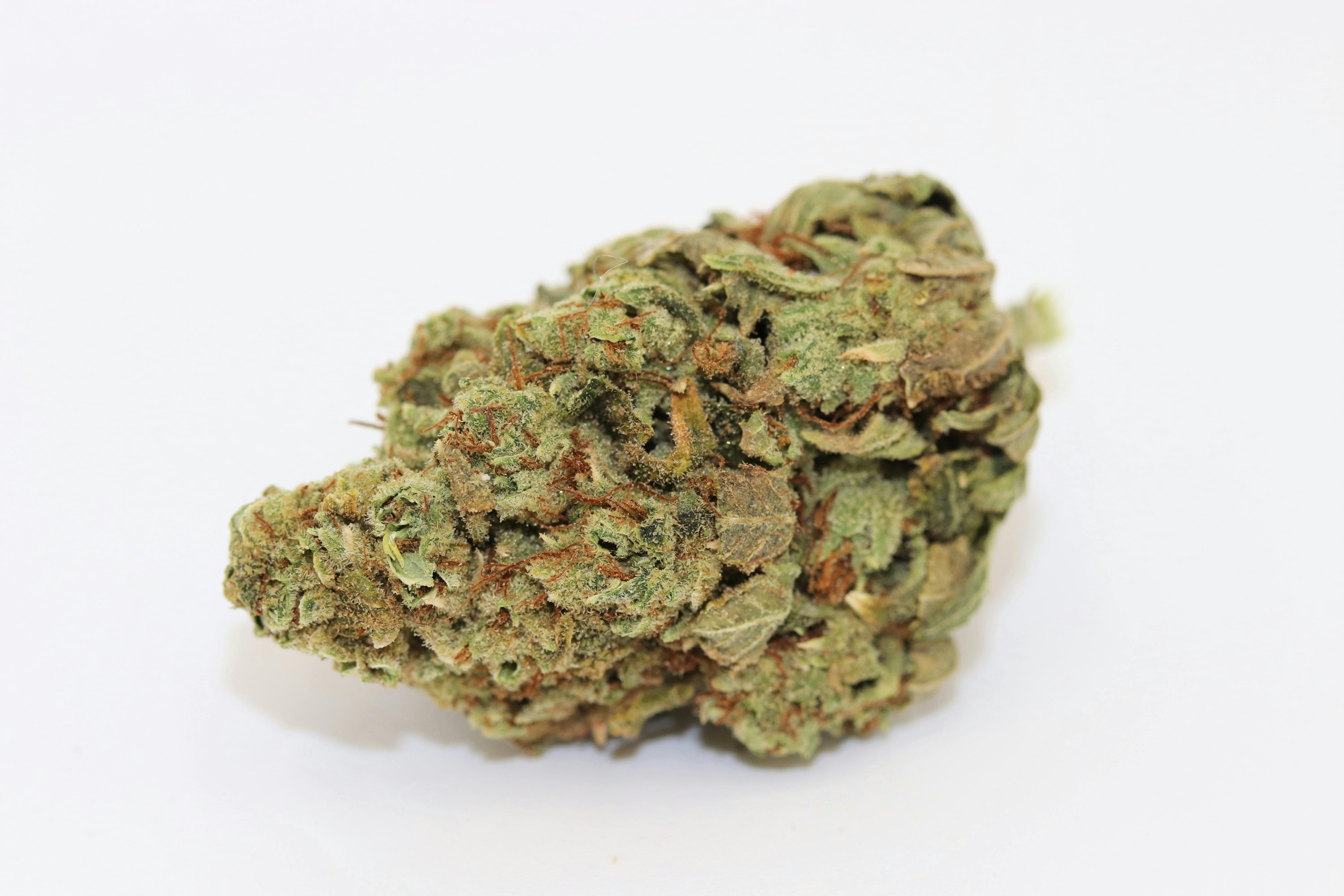 Elevation 207 - Arise - 1