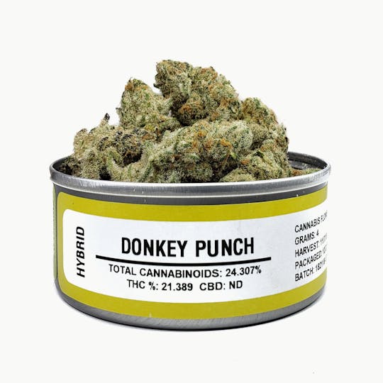 Space Monkey Meds - Donkey Punch - 1