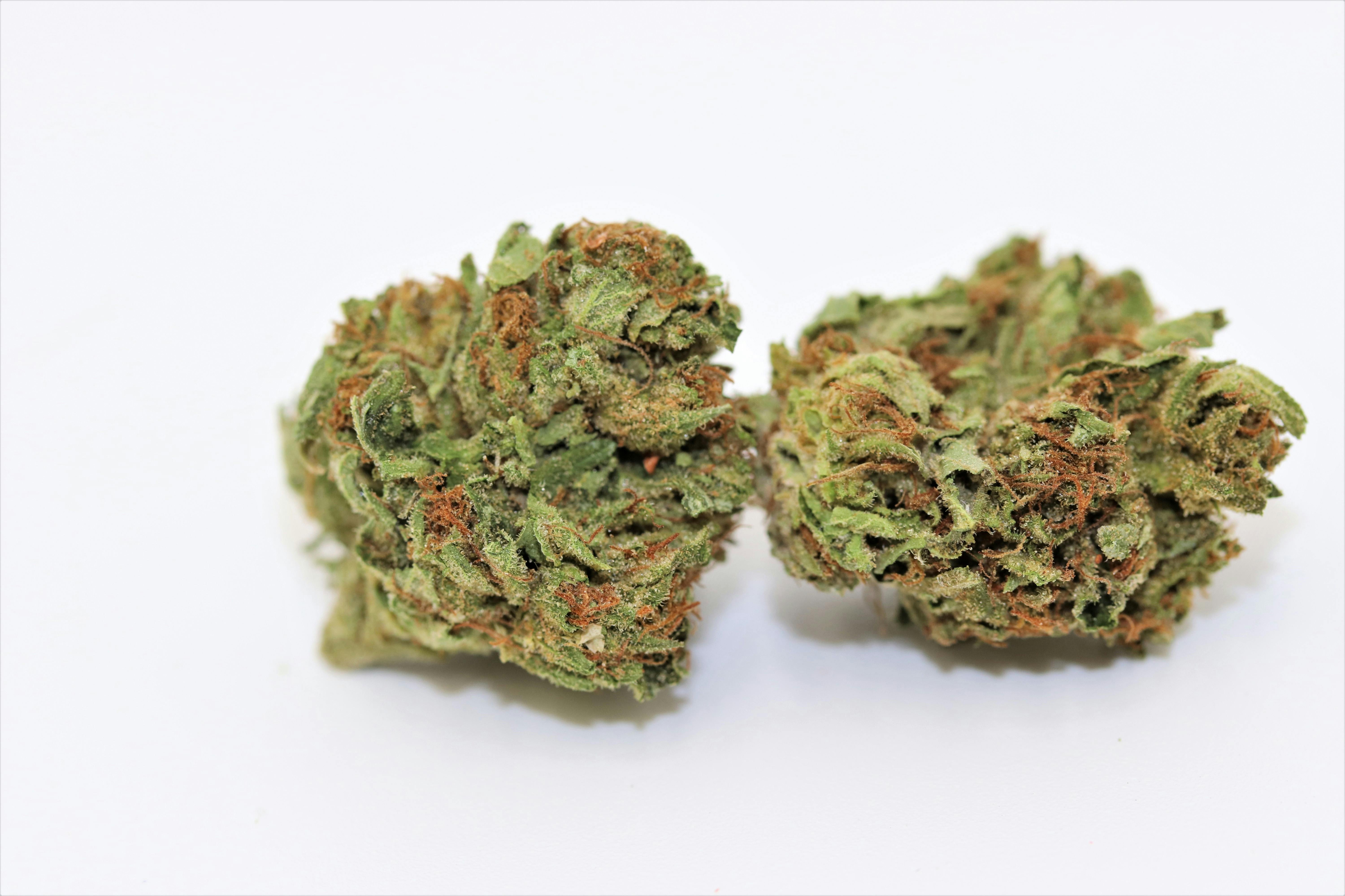 Elevation 207 - Grand Daddy Purp - 1