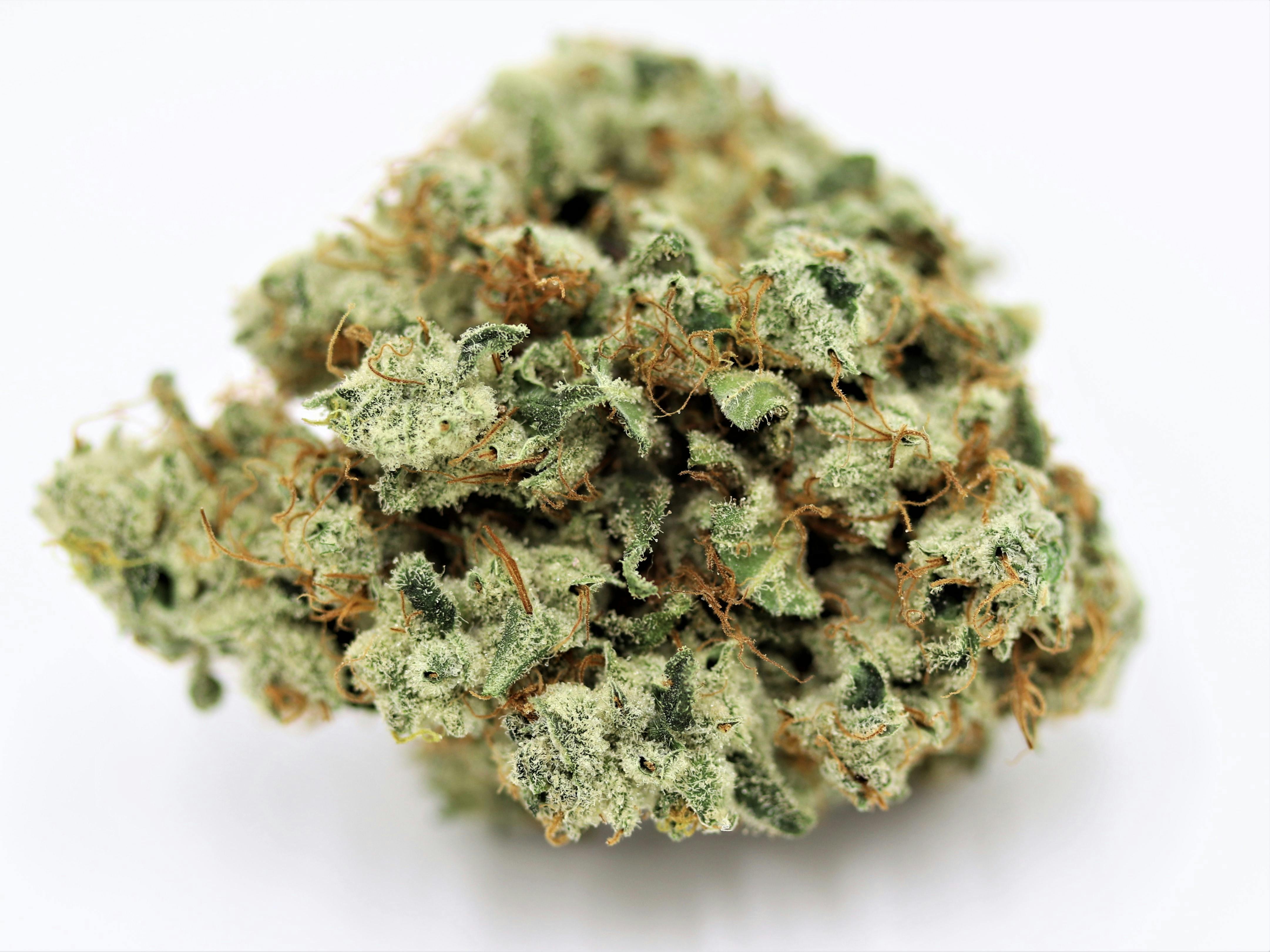 Elevation 207 - Super Lemon Haze - 1