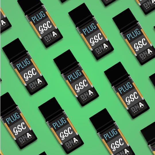PLUGPLAY™ - VAPE - 1g PLUG™ DNA: GSC - 1