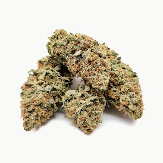 Delightful Hights - Cookie Monster - 1