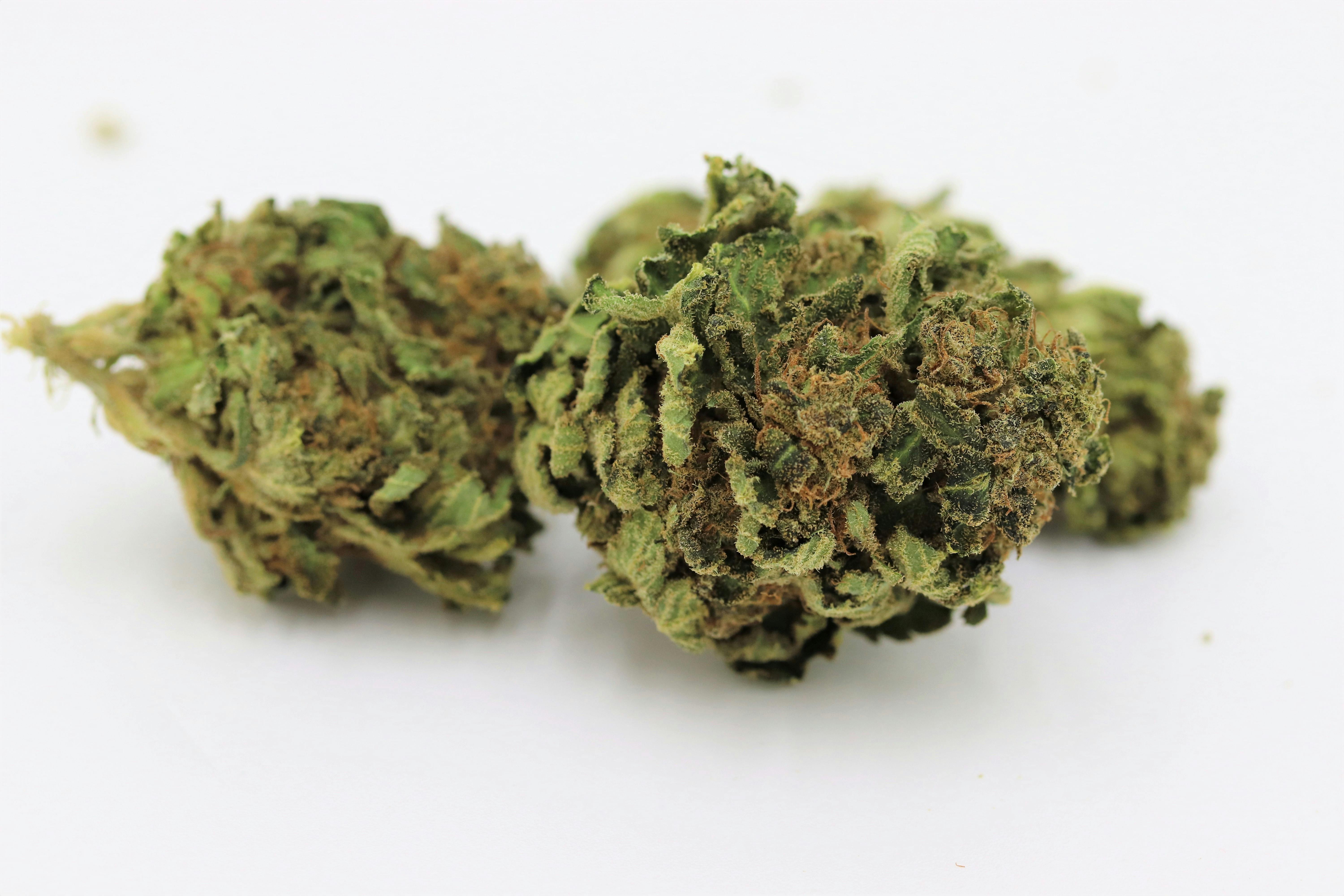 Elevation 207 - Bubblegum **Outdoor Special** - 1