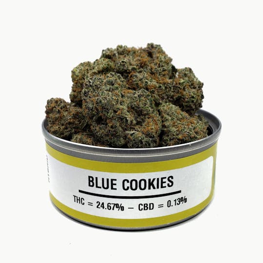 Space Monkey Meds - Blue Cookies - 1