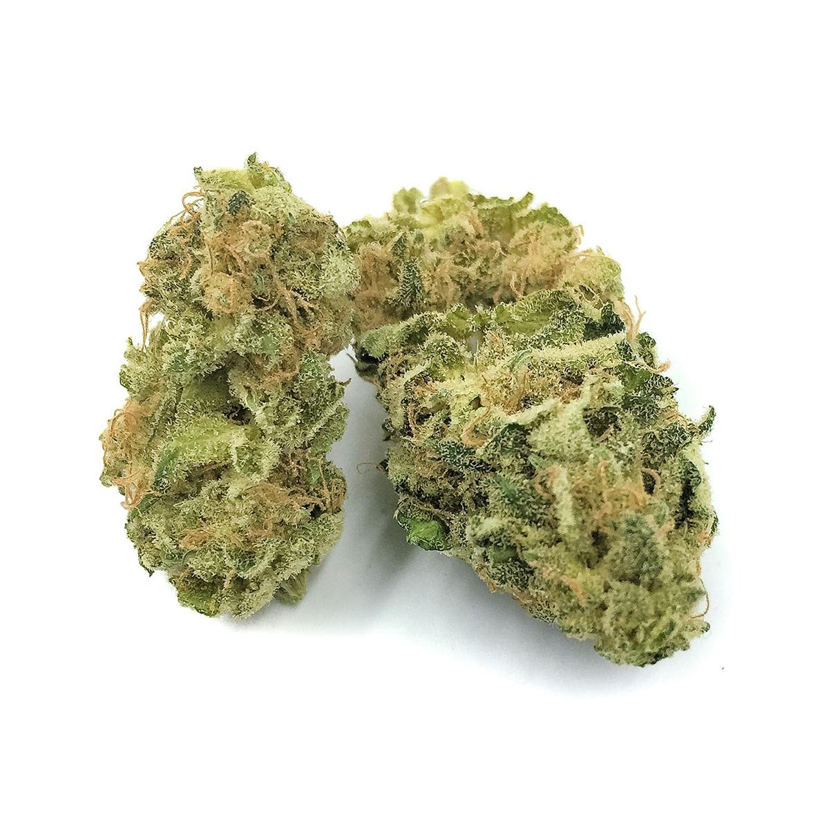 Pine Street Cannabis Company - Pine Street | LSD | Flower - 1