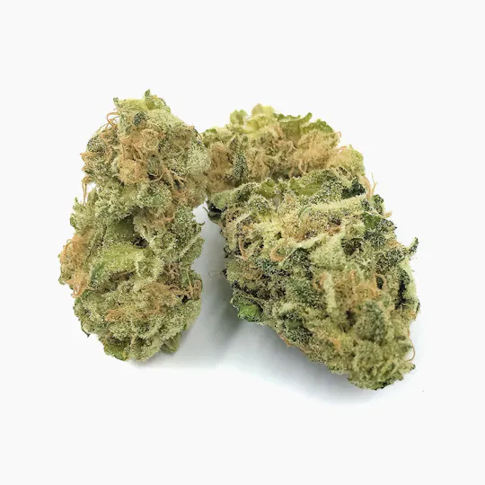 Pine Street Cannabis Company - Pine Street | LSD | Flower - 1