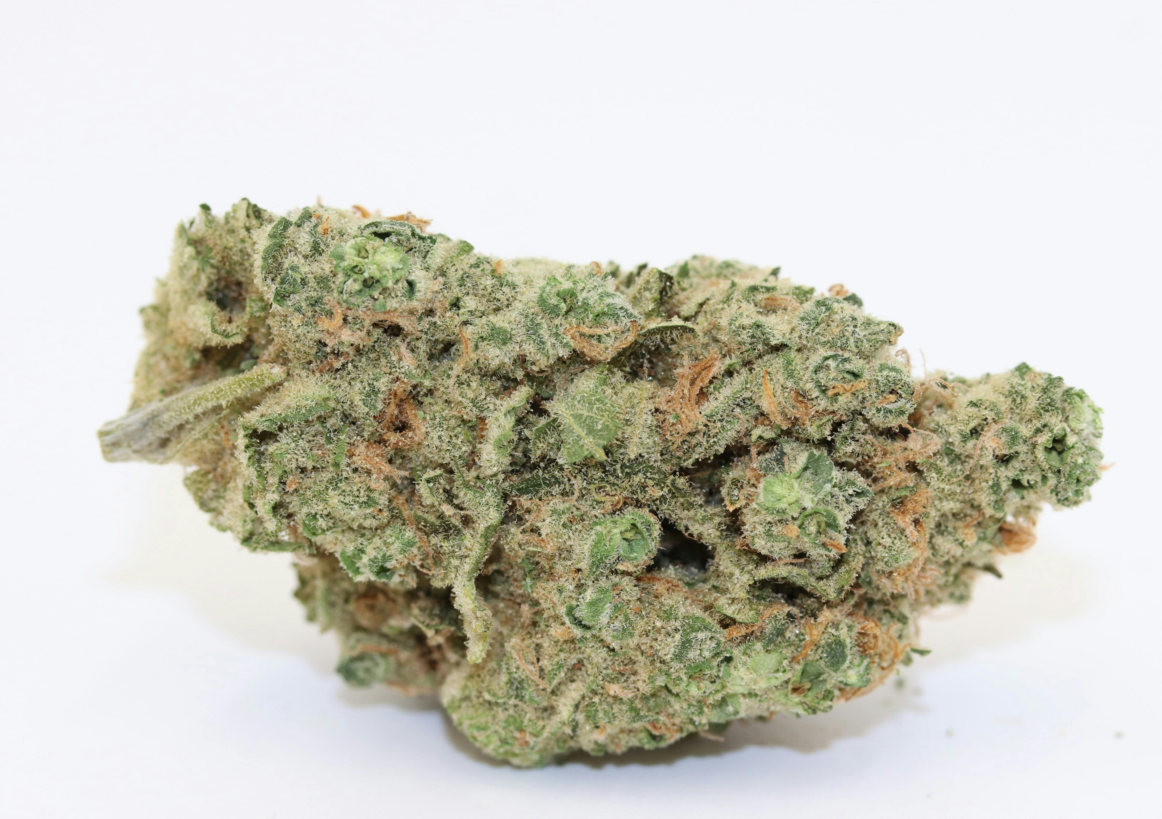 Elevation 207 - Blueberry Headband - 1