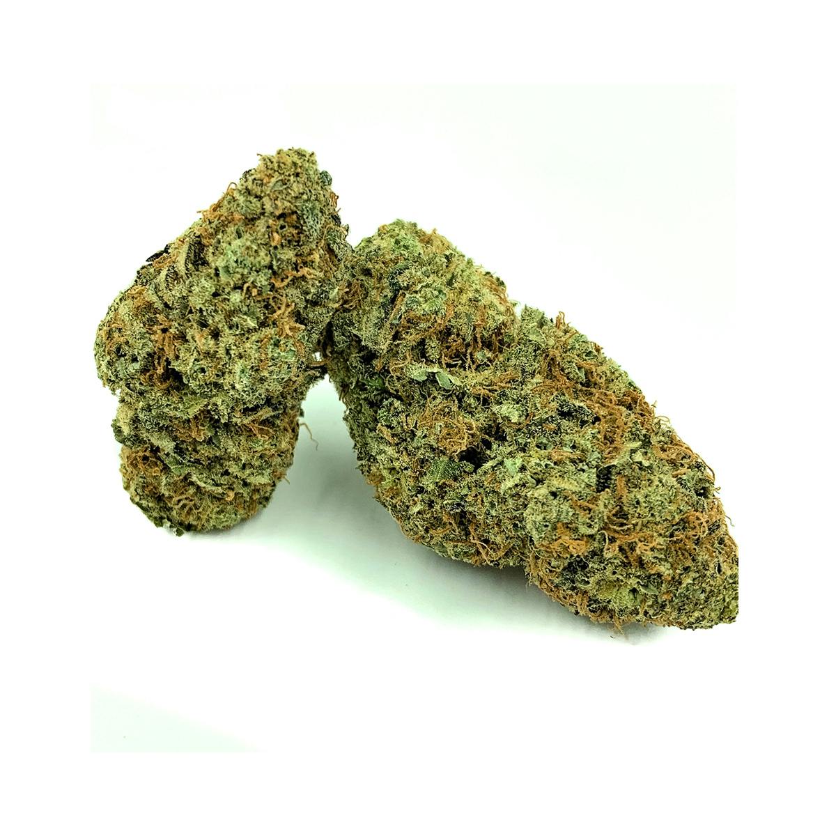 Pine Street Cannabis Company - Pine Street | Sugar Candy | Flower - 1