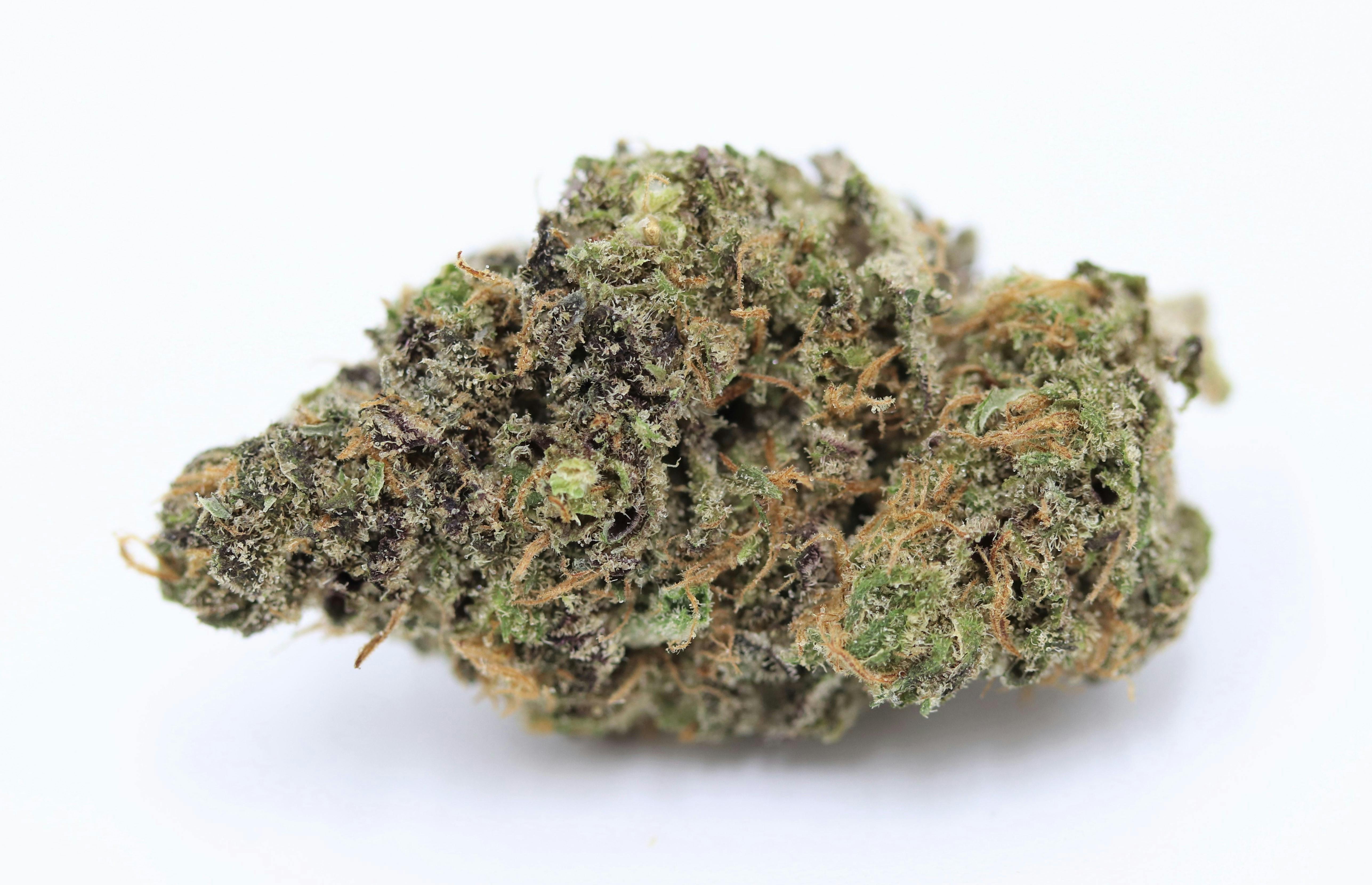 Elevation 207 - Blue Magoo - 1