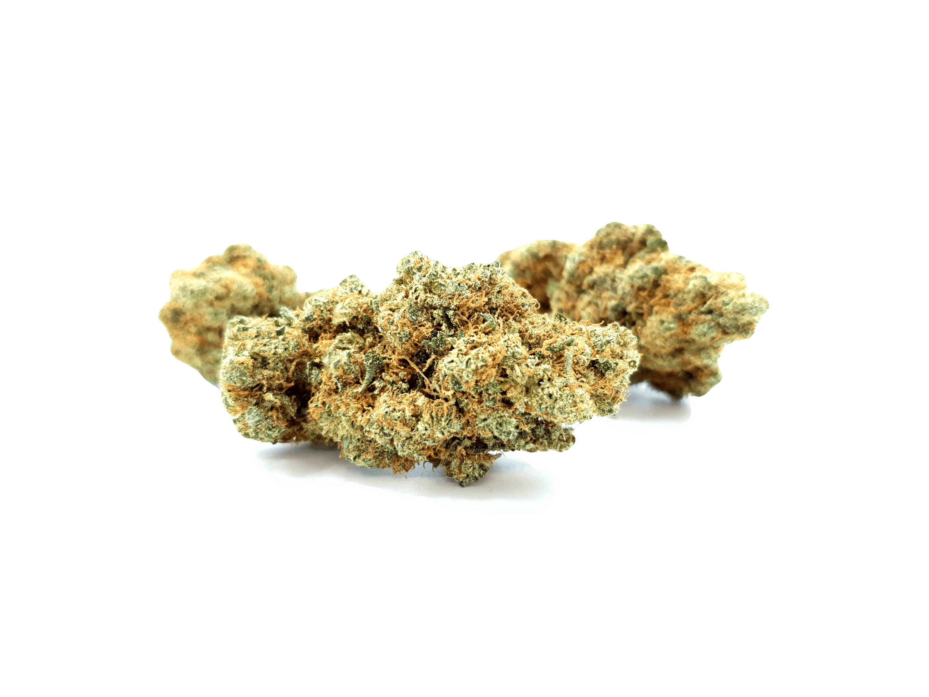 Starbuds Luzern - Orangello - 1