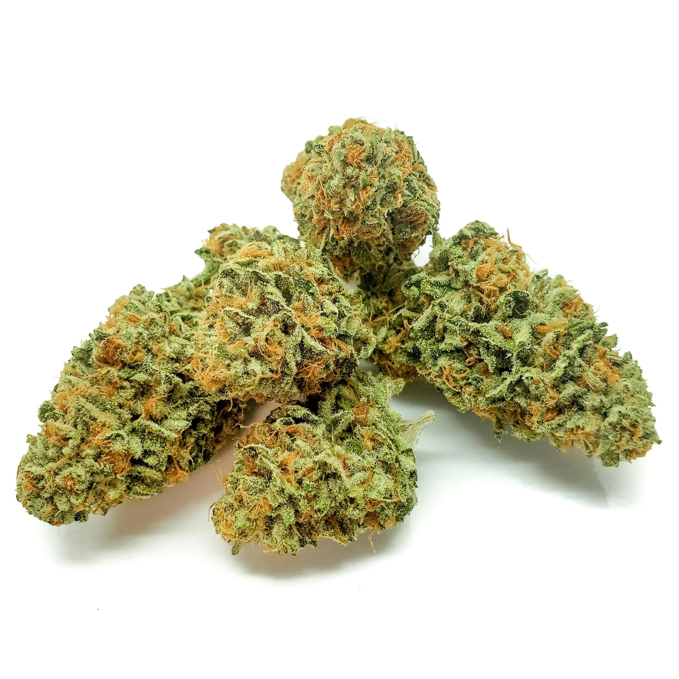 Delightful Hights - Humboldt Dream - 1