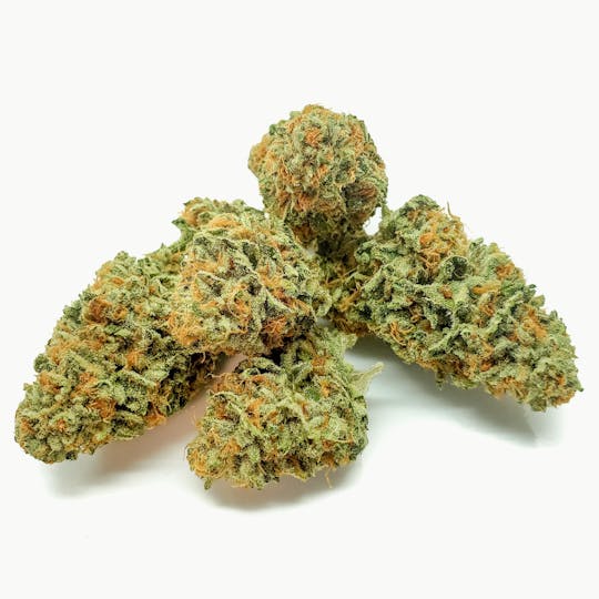 Delightful Hights - Humboldt Dream - 1