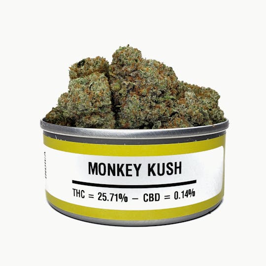 Space Monkey Meds - Monkey Kush - 1