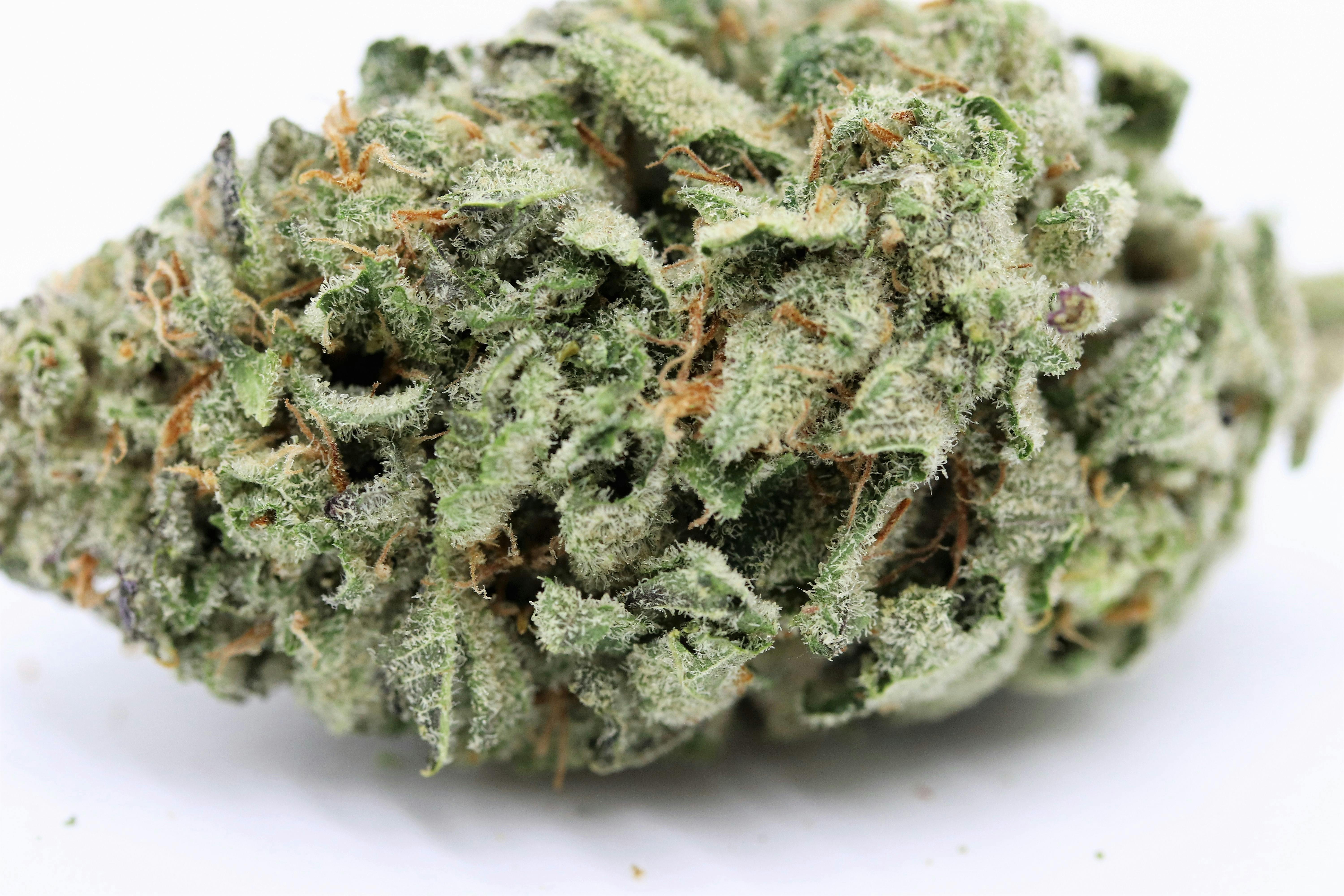 Elevation 207 - Bubble Bomb - 1