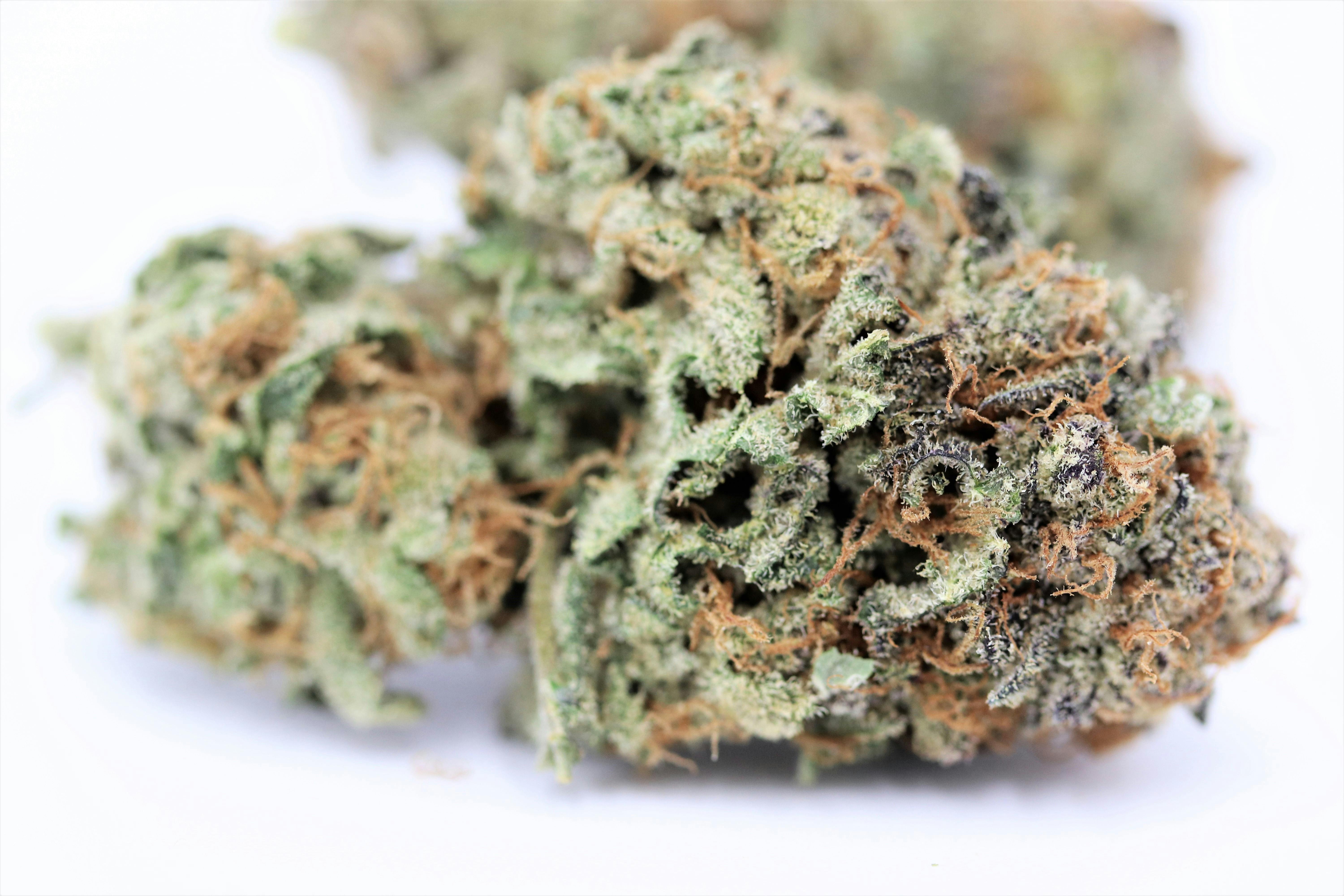 Elevation 207 - Black Dog - 1