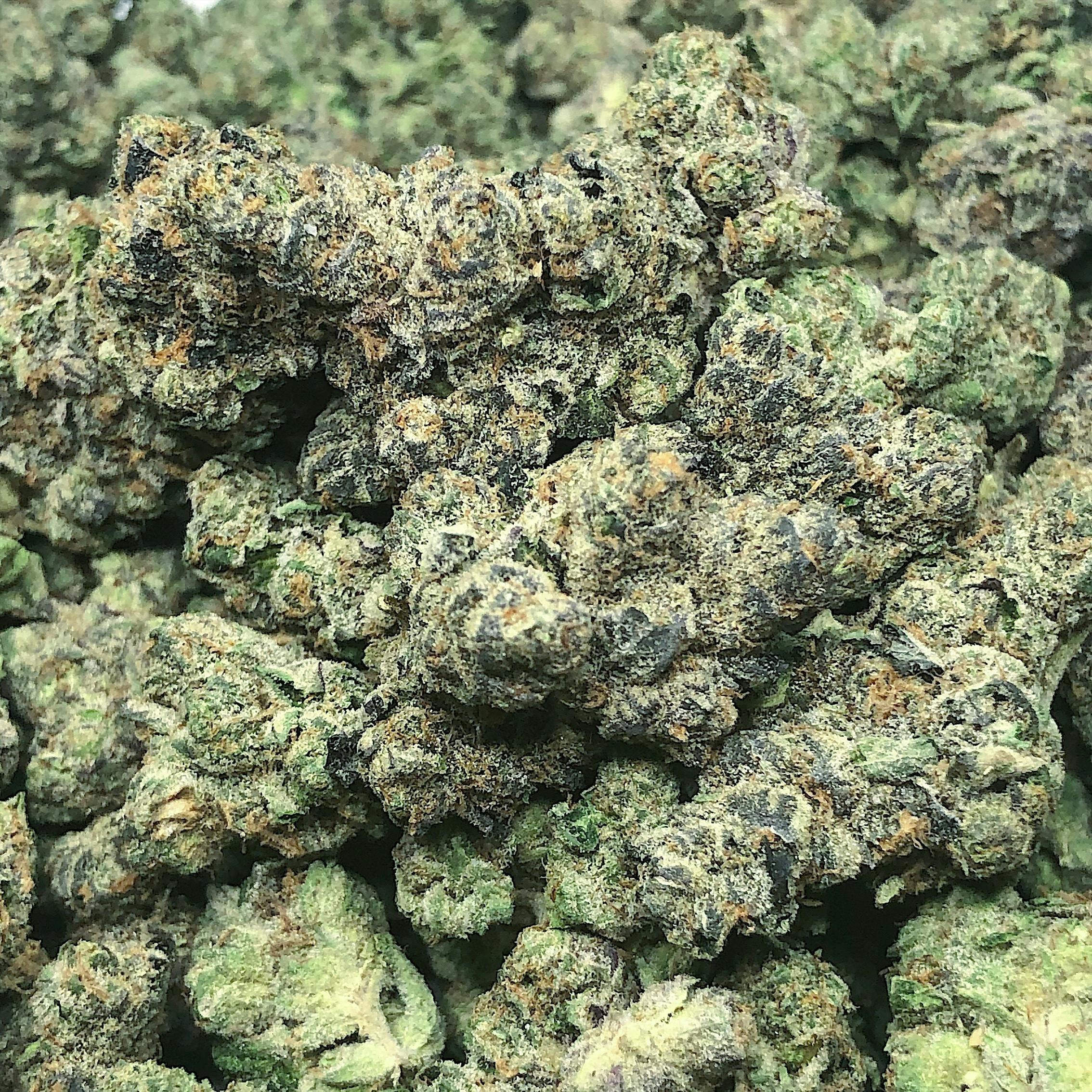 High Tide Organics - Platinum Cookies - 1