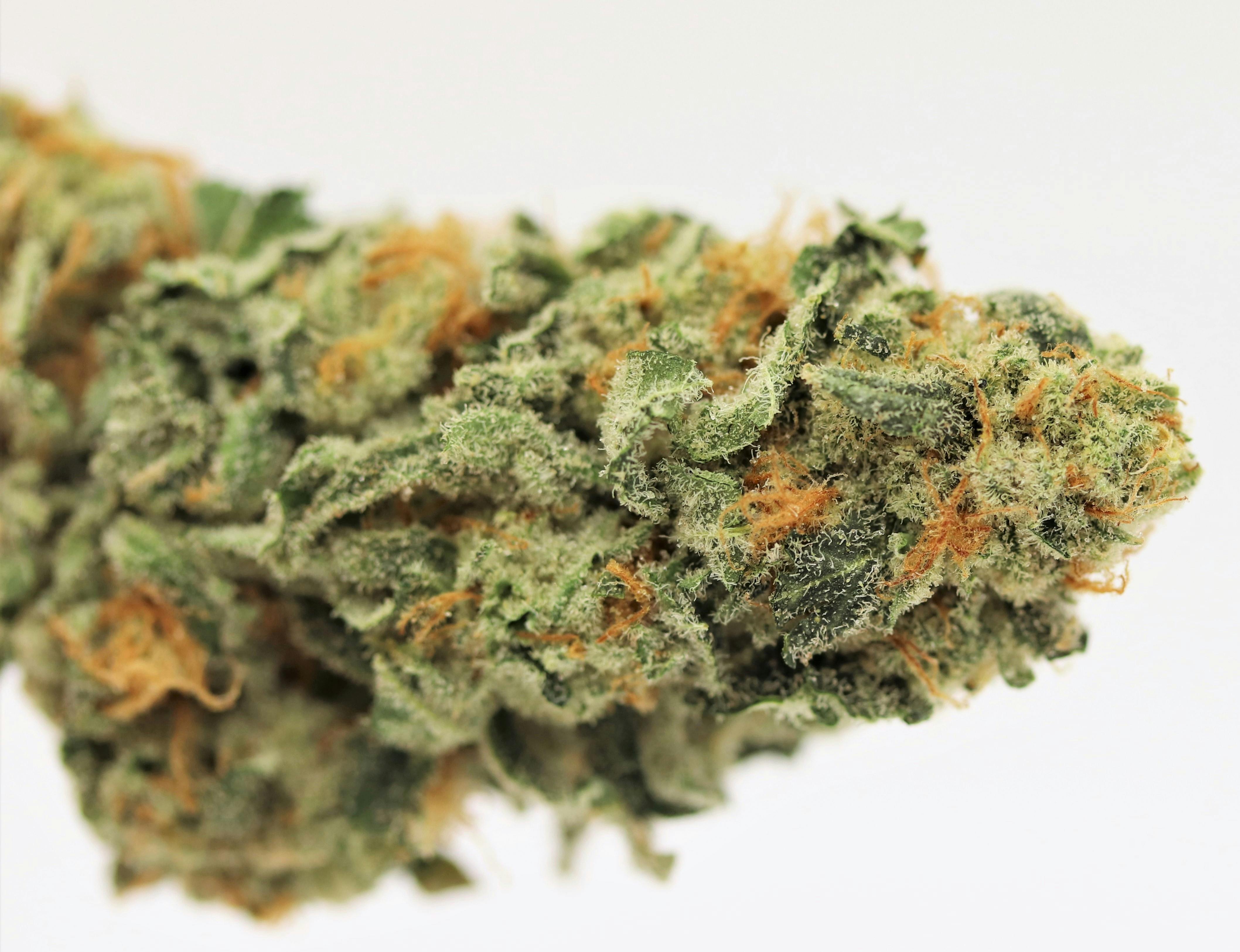 Elevation 207 - Guava Kush - 1