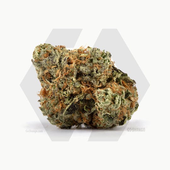 Shango - Black Flag - 1