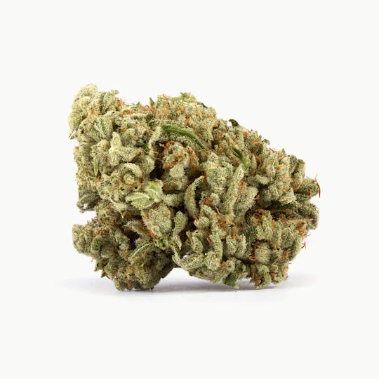 Shango - Chong's Choice: Gas Munkey - 1