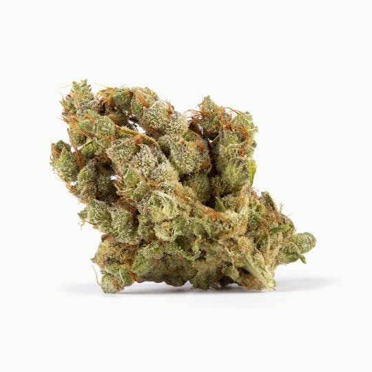 Shango - Chong's Choice: Jazz x Space Dude - 1