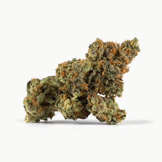 Shango - Sweet Lime Slice - 1