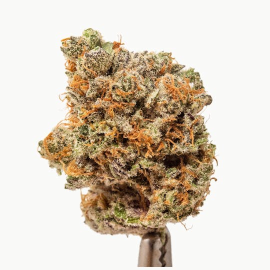 Natty Rems - Purple Trainwreck - 1