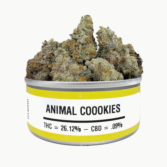 Space Monkey Meds - Animal Cookies - 1