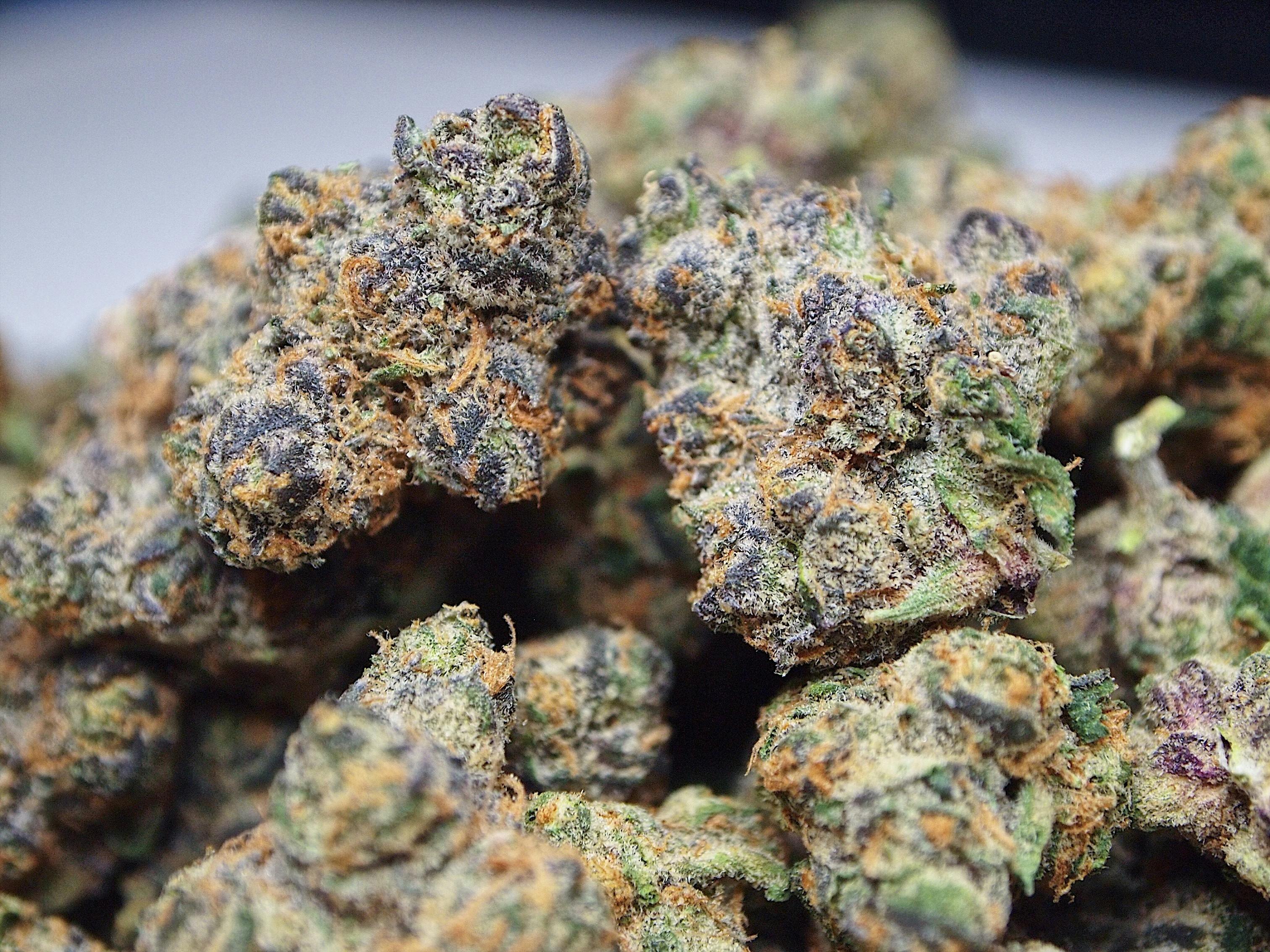 High Tide Organics - Apple Fritter - 1