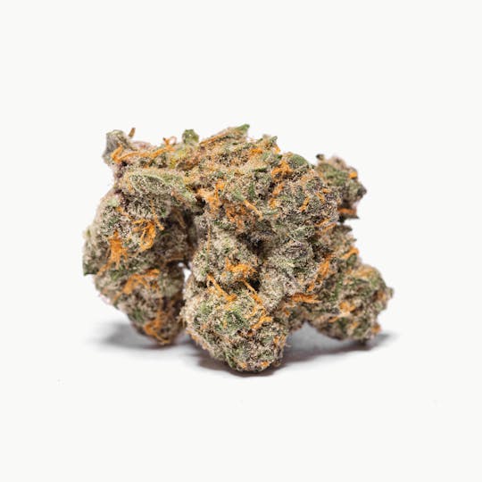 Temescal Wellness - Fruit Punch - 1