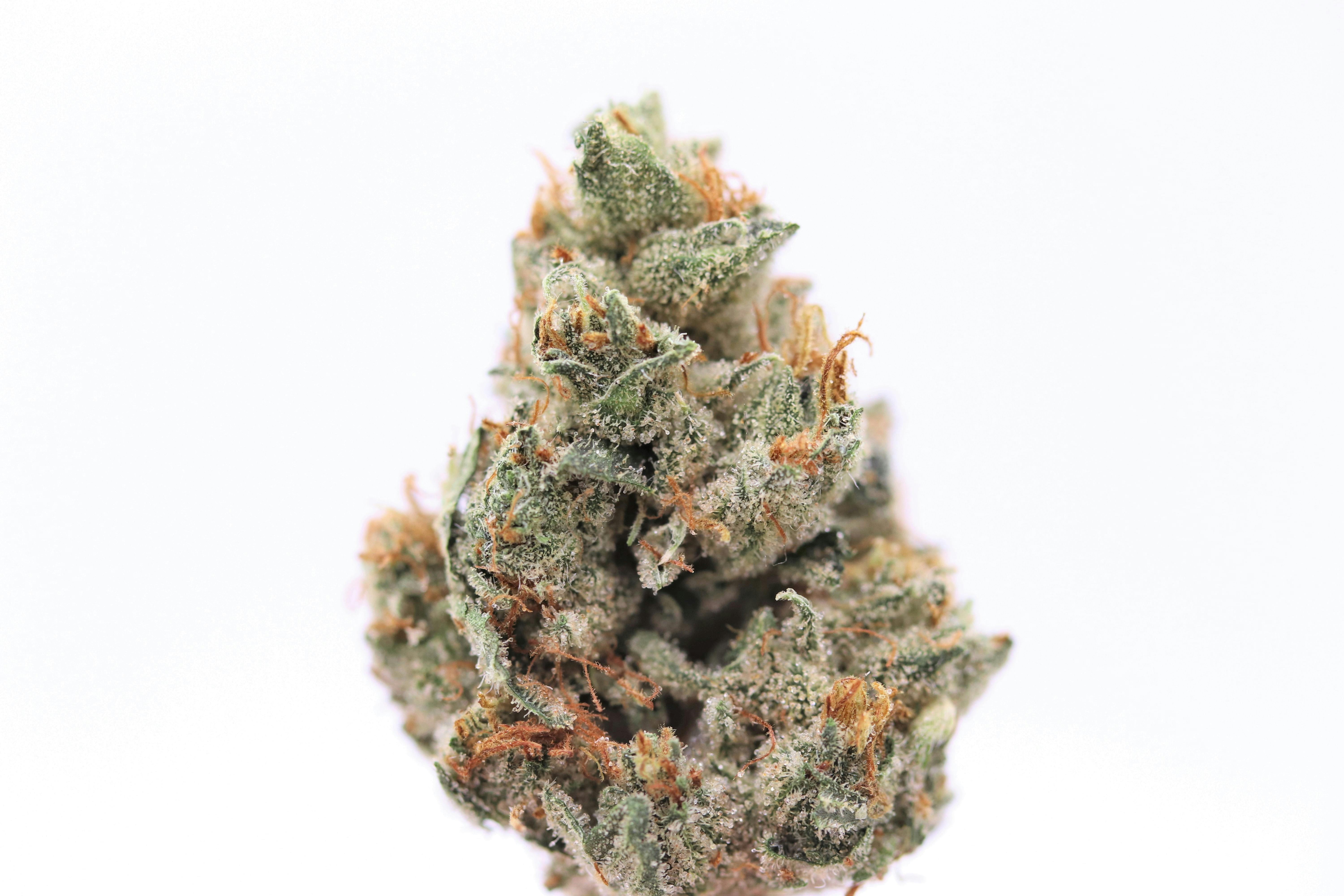 Elevation 207 - Strawberry Banana - 1