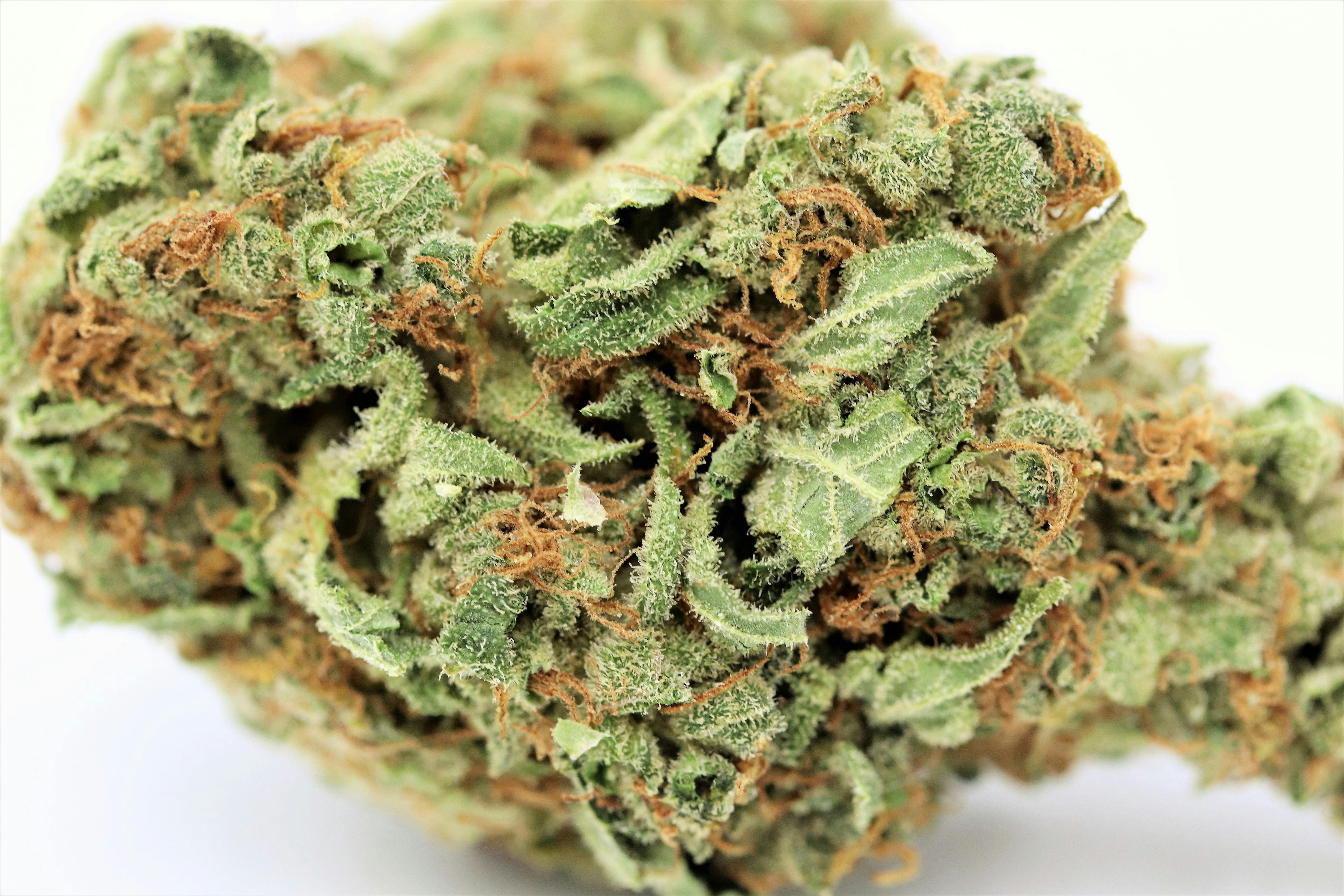 Elevation 207 - Purple Trainwreck - 1