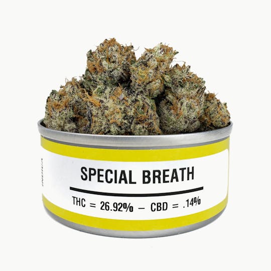 Space Monkey Meds - Special Breath - 1