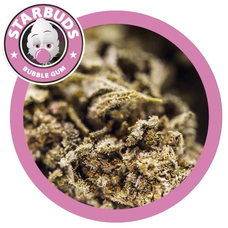 Starbuds CBD - BUBBLEGUM - 1