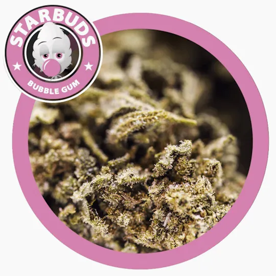 Starbuds CBD - BUBBLEGUM - 1