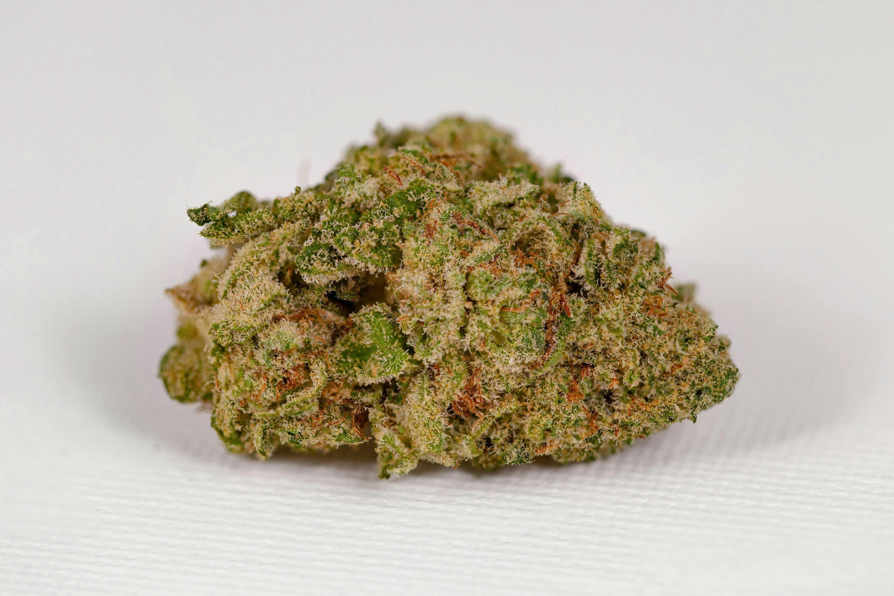 Great Northern Cannabis - Great Northern Cannabis Grape Kush (Hybrid) - 1