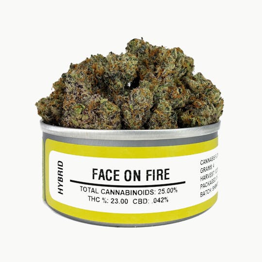 Space Monkey Meds - Face on Fire OG - 1