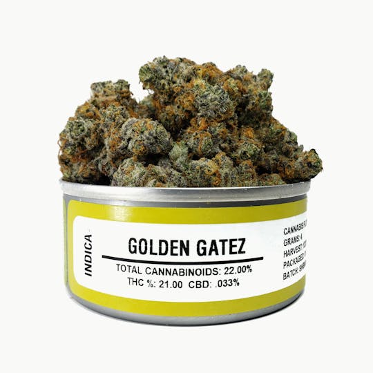 Space Monkey Meds - Golden Gatez - 1