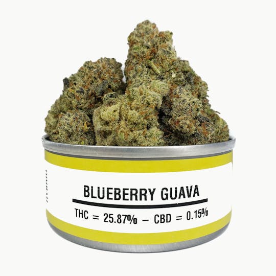 Space Monkey Meds - Blueberry Guava - 1