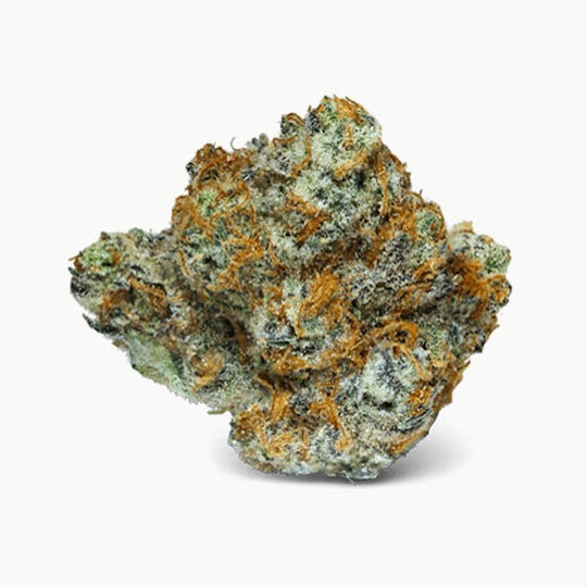 Theory Wellness - Black Raspberry #23 - 1