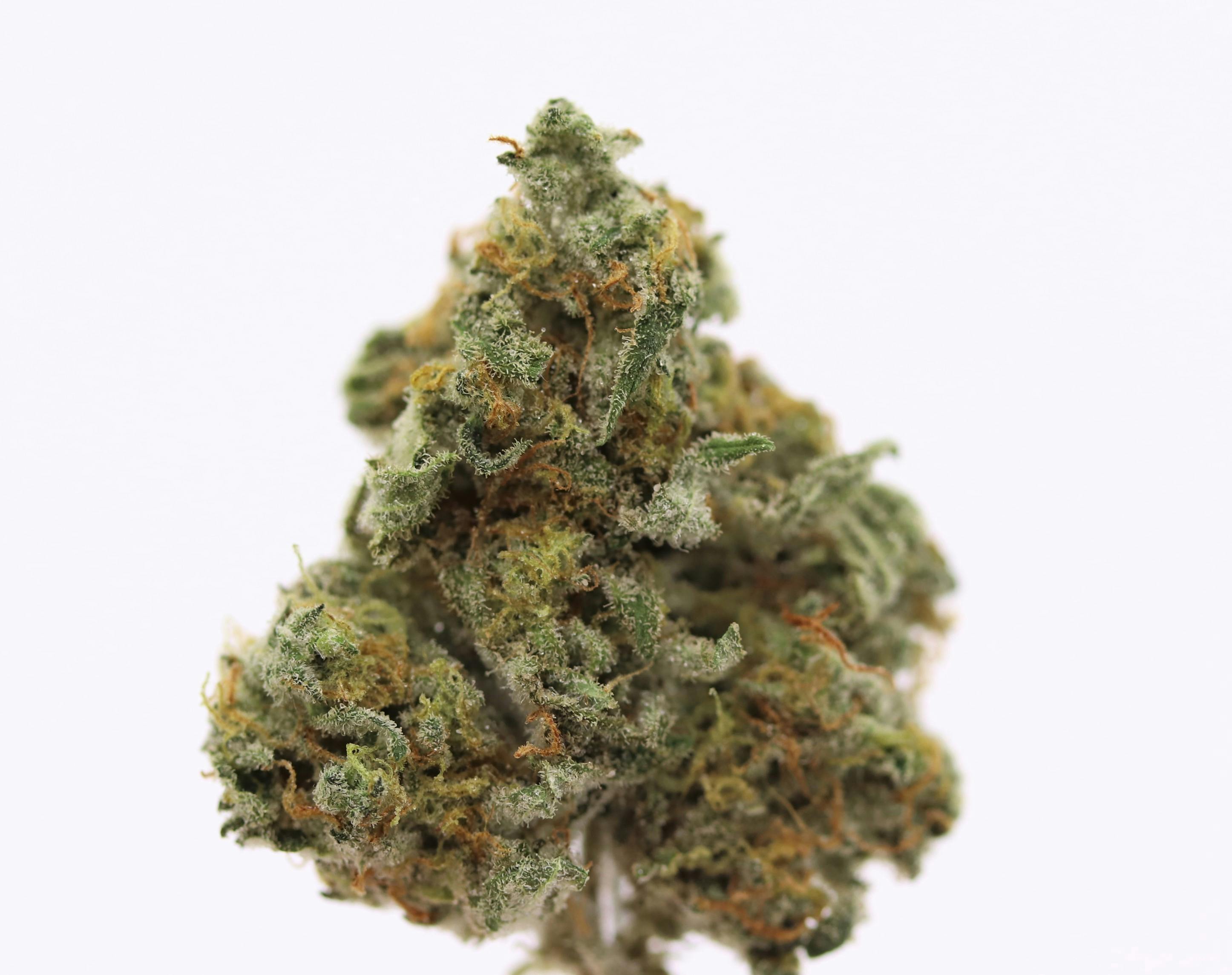 Elevation 207 - Trainwreck - 1