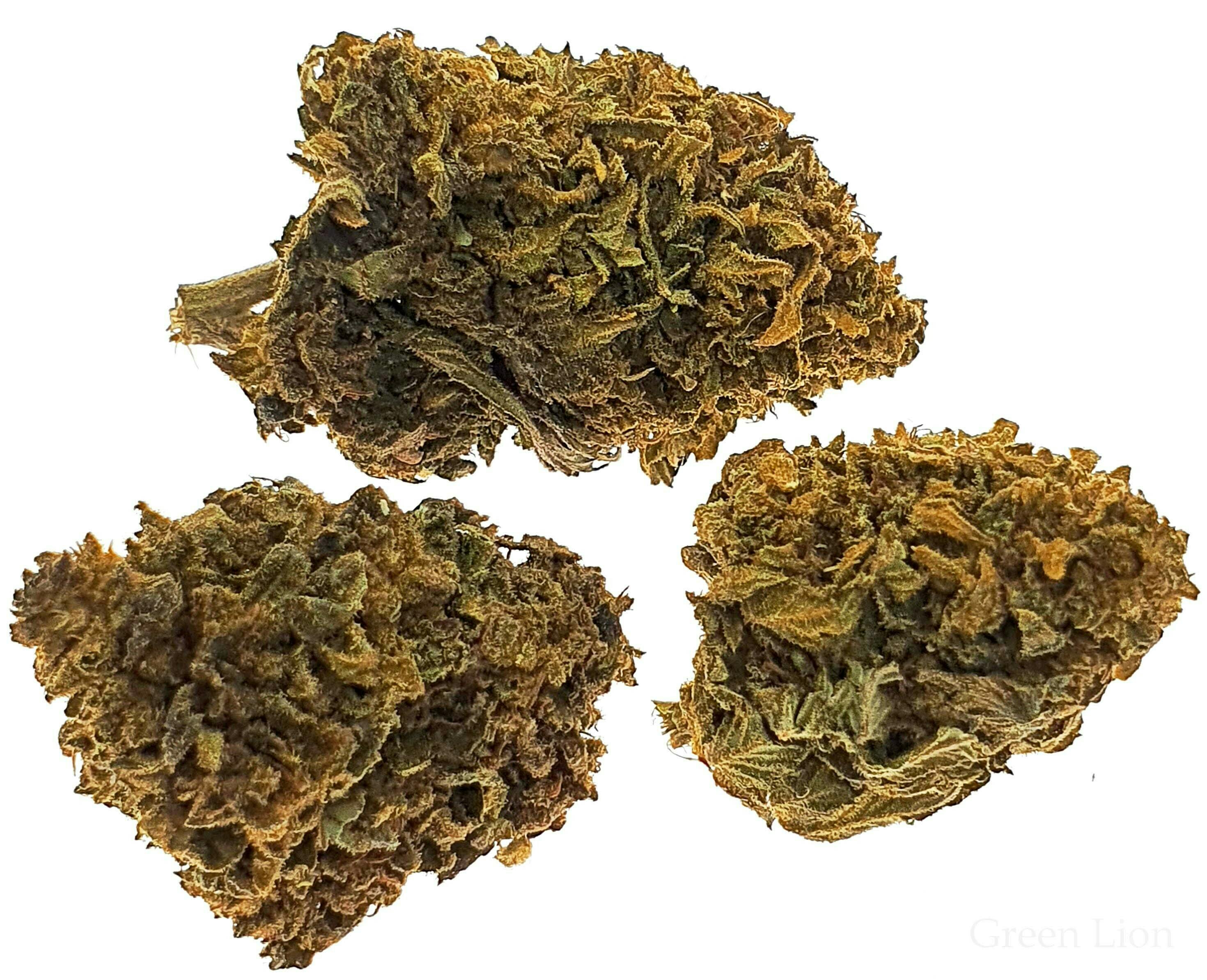 Green Lion - Green Lion Outdoor - 1