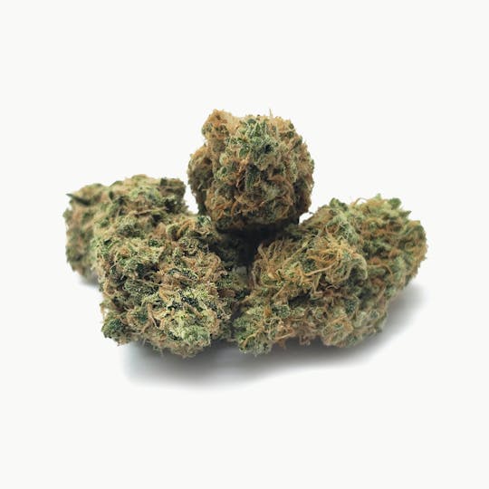 Delightful Hights - OG Kush F2 - 1