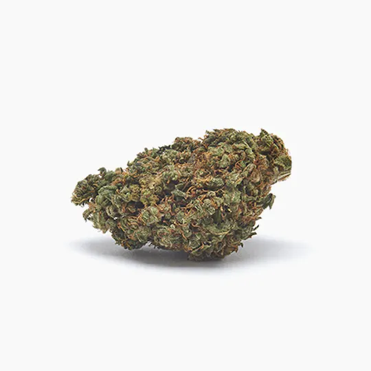 JUST BOB - PINEAPPLE - 1