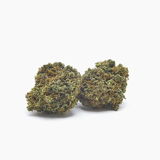JUST BOB - AMNESIA HAZE - 1