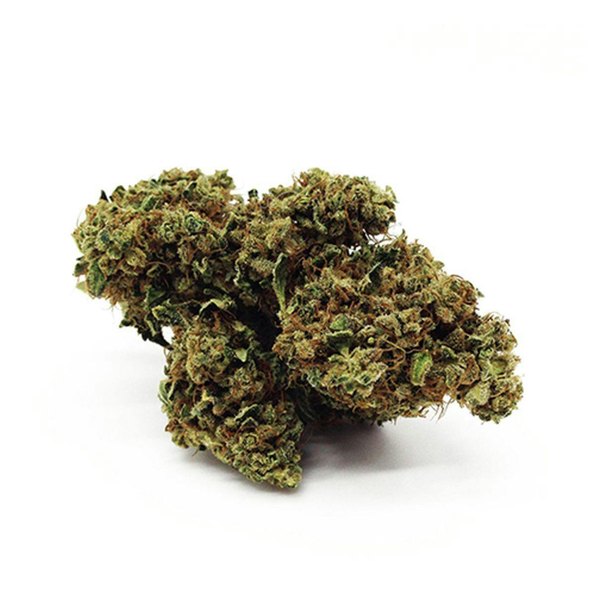 JUST BOB - MELON KUSH - 1