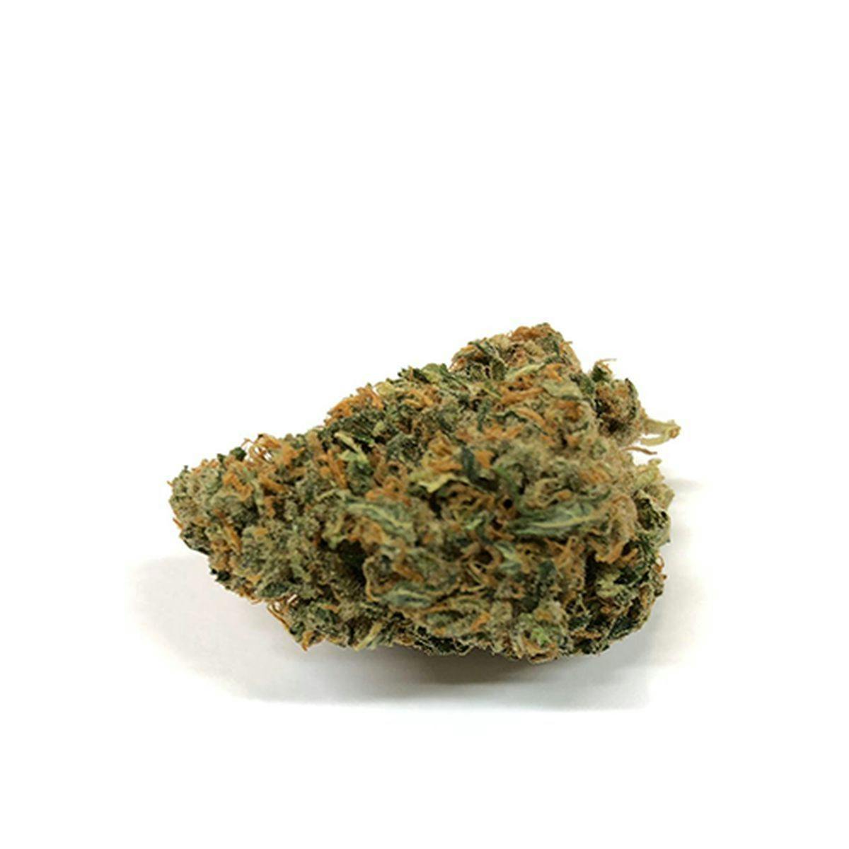 JUST BOB - BLUEBERRY - 1